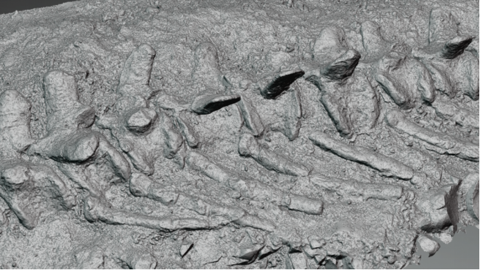 1634278797506307.png 1634278797506307.png