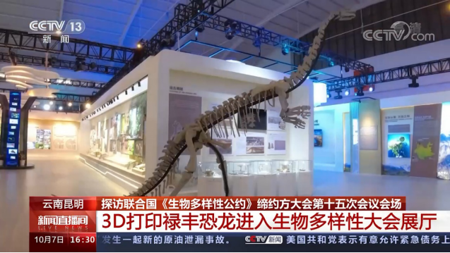 1634279130418482.png 1634279130418482.png