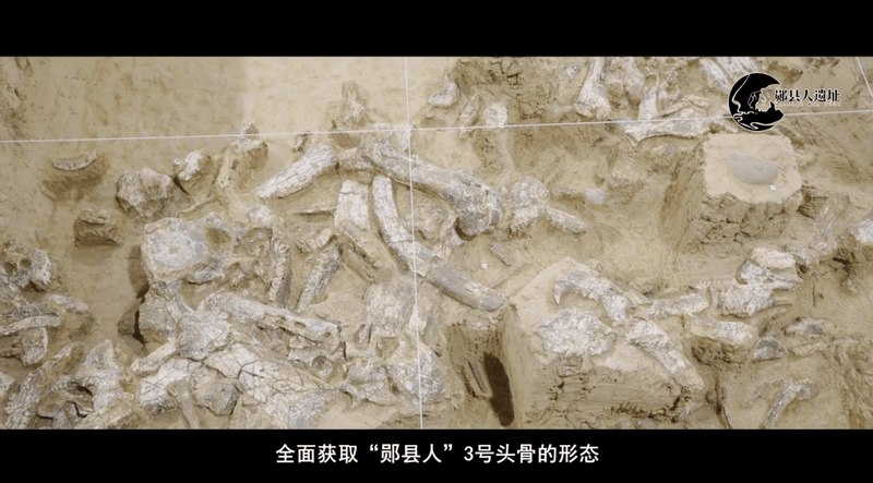 1681463401192521.png 圖片25.png